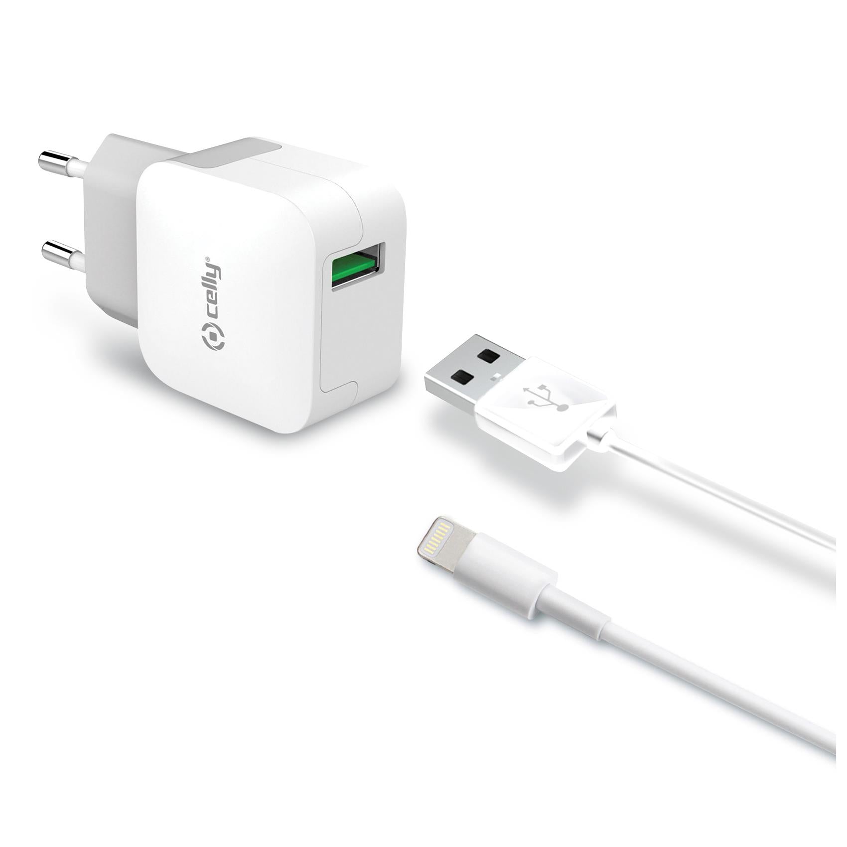 Celly Wall Charger met Lightning kabel